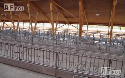 Решения - Наливные полы для животноводческих объектов